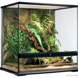 Terrarium en verre, moyen, haut, 60 x 45 x 60 cm - Exo Terra