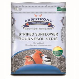 Striped sunflower, wild birds food – Armstrong