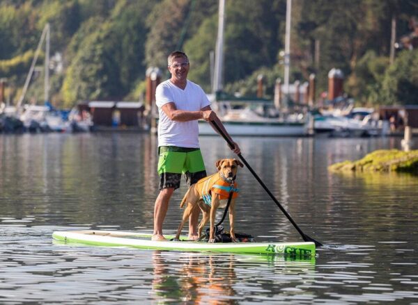 Veste de Flottaison pour chiens - RC Pets Tidal Life Vest