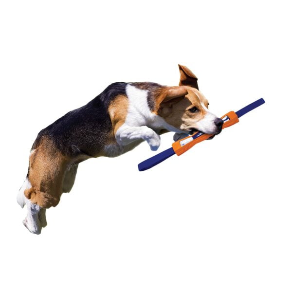 Bâton de compétition en Megaton pour Chiens - NERF DOG