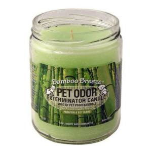 Bamboo Breeze Candle - Pet Odor Eliminator - Holly Molly