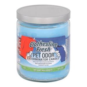 Clothesline Fresh Candle – Pet Odor Eliminator – Holly Molly