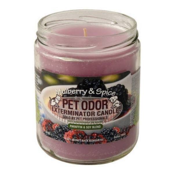 Mulberry & Spice Candle – Pet Odor Eliminator – Holly Molly