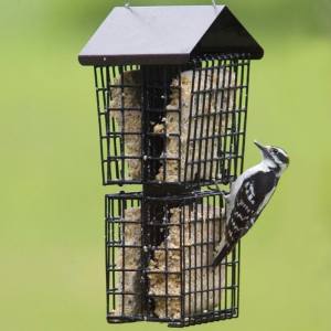 Four Cake Suet Buffet with Weather Guard - More Birds