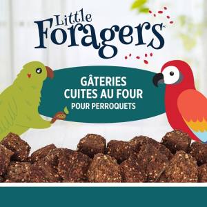 Gâteries Little Foragers cuites au four pour perroquets, Pépites de Légumes, 525g – HARI