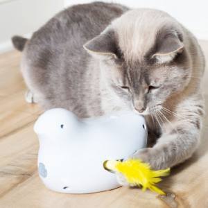 Jouet Électronique pour Chats - Peek-a-Bird - PetSafe