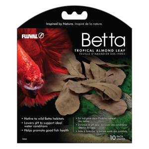 Feuilles d’amandier des Indes pour Betta, paquet de 10 - Fluval