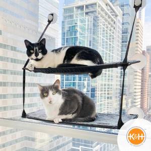 Tablettes de Fenêtre à 2 étages avec Ventouses pour Chat - K&H Pet Products