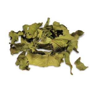 Gâteries de Feuilles Séchées de Goyavier pour Rongeurs, 10 g – Living World Green Botanicals