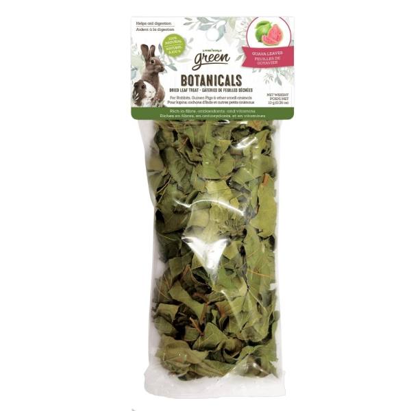 Living World Green Botanicals Dried Guava Leaves Treat – 10 g