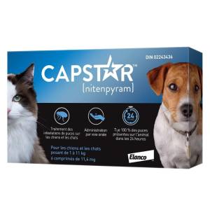 Traitement Antipuces Oral en Comprimés pour chats et petits chiens, 1 à 11 kg, paquet de 6 - Capstar Elanco
