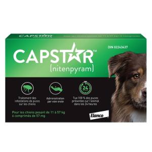 Traitement Antipuces Oral en Comprimés pour chiens de 11 à 57 kg, paquet de 6 – Capstar Elanco
