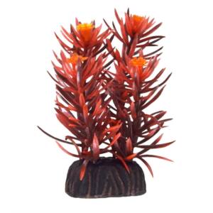 Petite Plante Rotala Indica Rouge Décorative pour Aquarium, 8cm