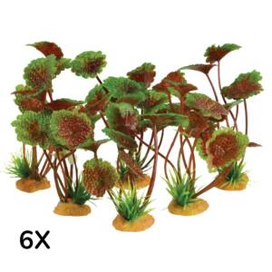 Petites Plantes Cardamine Décorative pour Aquarium, 9cm, Paquet de 6